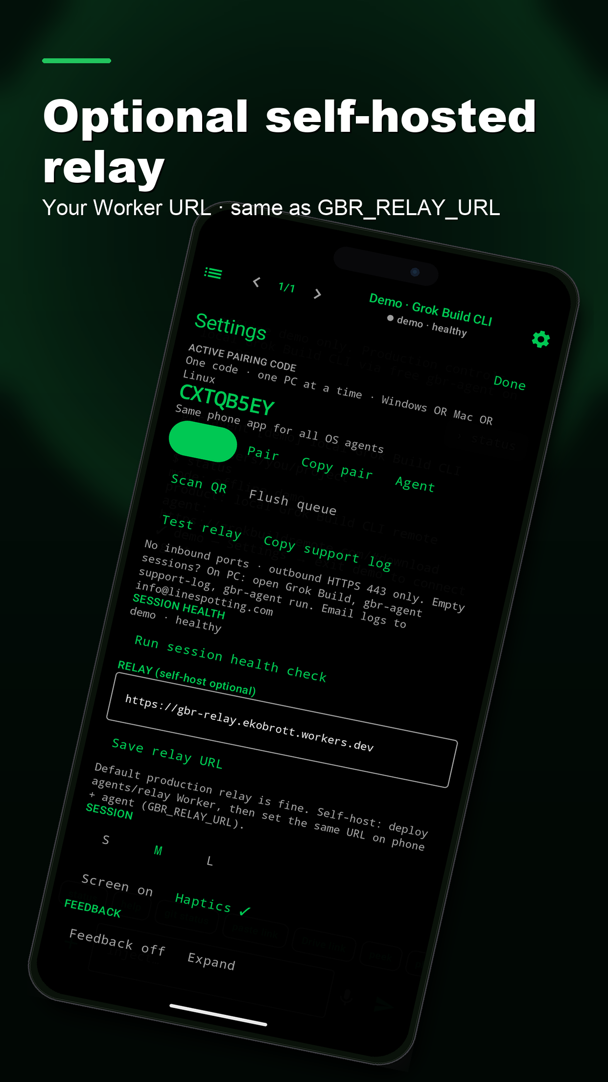 Optional self-hosted relay
